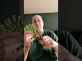 Papegaaien speelgoed Knutselen met fensievogels de papierenrietjesbloemen.