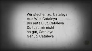 Cataleya (Samra)