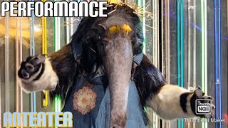 Anteater Performs "Walking In Memphis" By Marc Cohn | Masked Singer | S10 E6