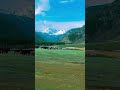 #горныйалтай #nature #❤️