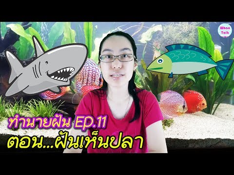 ฝันเห็นปลา / ทำนายฝันเห็นปลา / ทำนายฝัน EP. 11