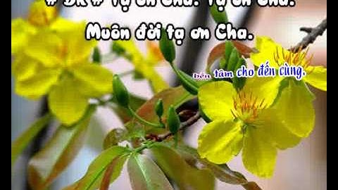 Đầu Xuân Cầu Cho Gia Đình - karaoke playback - http://songvui.org