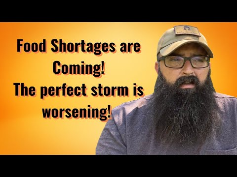 Food Shortages are Coming! The perfect storm is worsening.