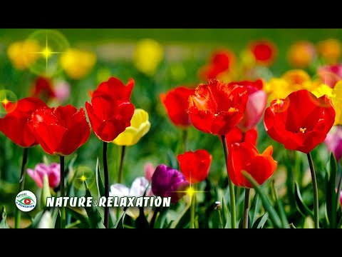 ПРИРОДА & Божественная