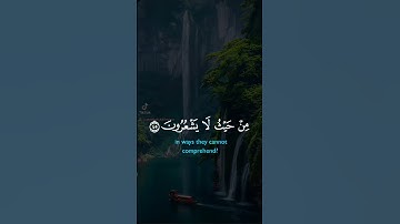 ما تيسر من الذكر الحكيم تلاوة خاشعة مؤثرة مبكية 🚨💔