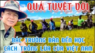 Linh Philip Vlogs\\Quá Tuyệt Vời, Bác Trưởng Bản Và Người Dân Đến Xin Học Cách Trồng Lúa Việt nam.
