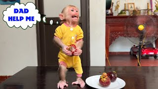 Can't eat mangosteen! Monkey NANA asked for help from her father