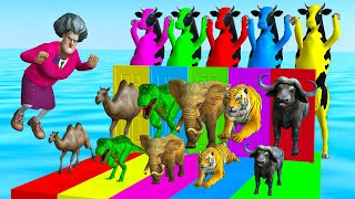 Funny Cow Dance Tiger Mammoth Elephant Buffalo Camel Scary Teacher 3D Choose The Right Door Game