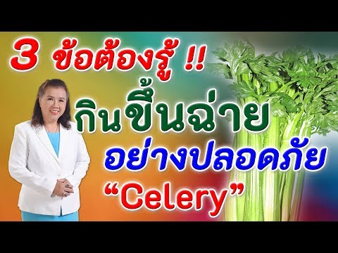 3 ข้อต้องรู้ !! กินขึ้นฉ่ายอย่างปลอดภัย | celery | พี่ปลา Healthy Fish