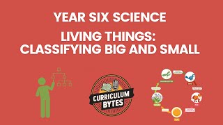 Year Six Science - Living Things: Classifying Big and Small