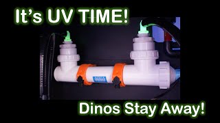 Adding A Uv Sterilizer To My New Reef Tank Build. Stay Away Dinos