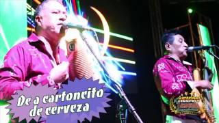 Video thumbnail of "De a cartoncito de cerveza - Nelson Kanzela"