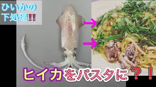 ヒイカの下処理の仕方の動画 からの板前が作るパスタ ヒイカのパスタをご紹介 Youtube