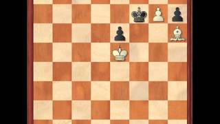 Chess Beauty #58