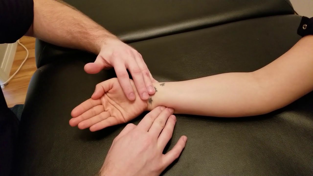 Muscle Palpation - Flexor Carpi Ulnaris