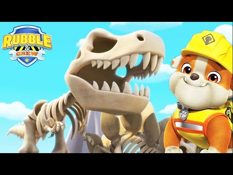 Rubble Visit&#39;s the Dinosaur Museum 🐱‍🐉 | Rubble and Crew | Cartoons for Kids