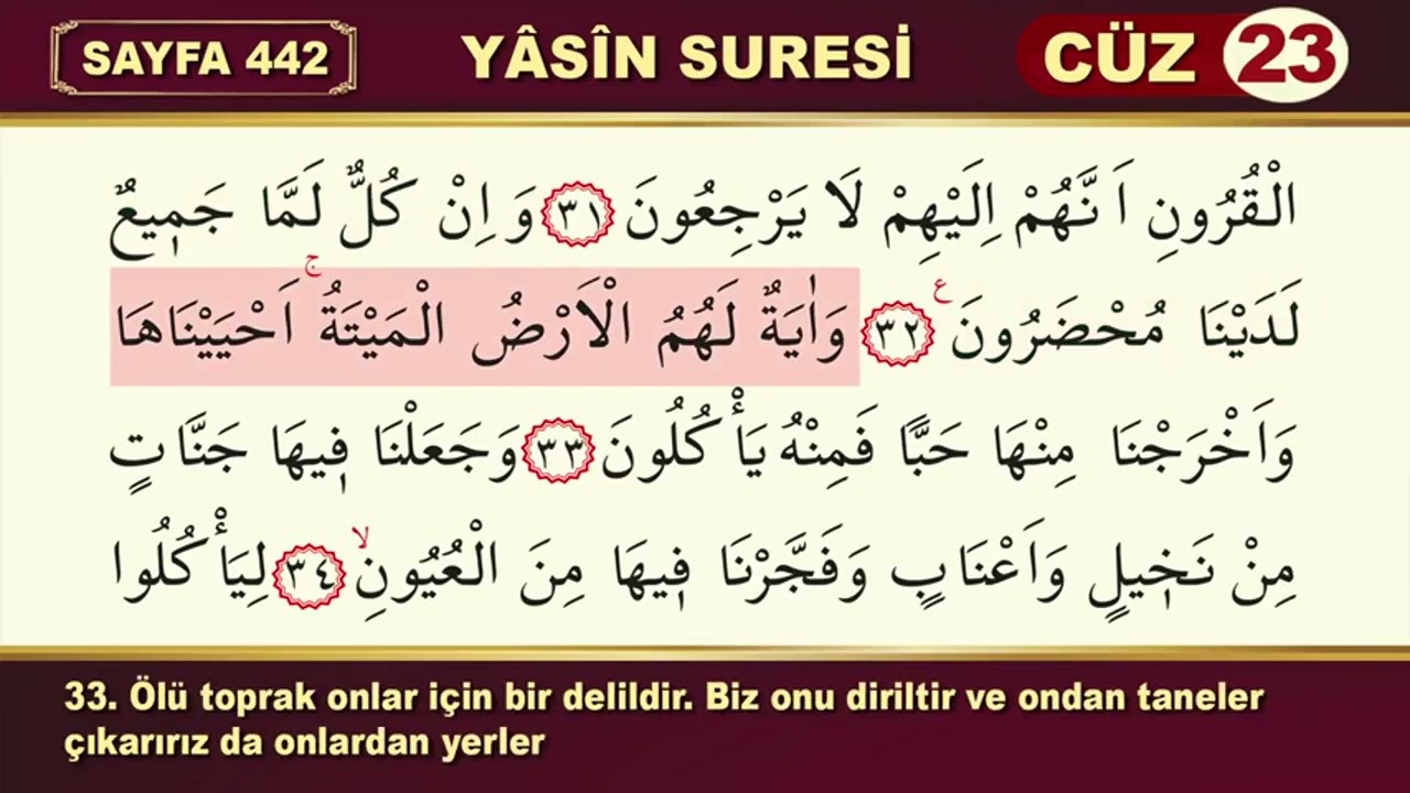 036-Yasin Suresi / Okuyan : Hafız Mustafa UYAR