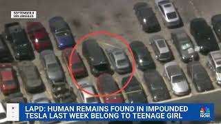Remains found in a Tesla car