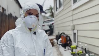 Jenn at Work: Getting rid of rats