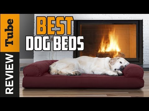 ✅dog-bed:-best-dog-beds-2019-(buying-guide)