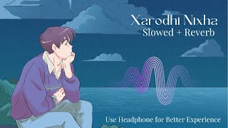 Xarodhi Nixha Sannidhya Bhuyan Slowed Reverb