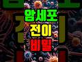 암세포의 비밀 #KAIST#암전이#세포의GPS#자율주행메커니즘#INSPECT#Rho단백질#Rac1#Cdc42#ROCK단백질#암치료#네이처커뮤니케이션즈#생명과학#바이오기술