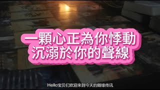 【tarot】一顆心正為你悸動，沉溺於你的聲線，拋卻過往枷鎖，只為與你書寫嶄新篇章