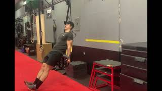 TRX Reverse Plank