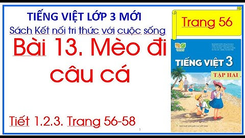 Bài 13 Mèo đi câu cá Tiếng Việt 3 Kết nối tri thức trang 56