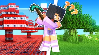 Minecraft But The WORLD is SECRETLY TNT!