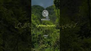 #unfrezzmyaccount #duet #answer #islamiccontent #ytshortsvideo  #viral #lislamic