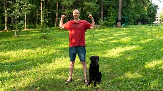 картинка: День 2 ЕЖЕДНЕВНАЯ ЗАРЯДКА Гимнастика ДЛЯ ВСЕХ возрастов Разминка и тренировка  НАЧАТЬ СНАЧАЛА