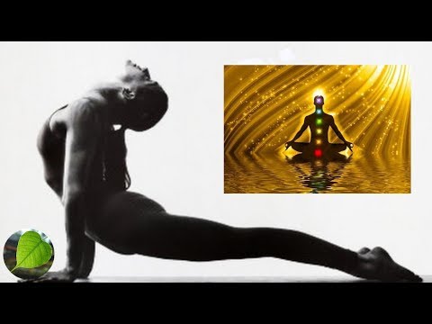 Video Suối Nguồn Tươi Trẻ - 5 Thức Tập Yoga Tây Tạng - youtube