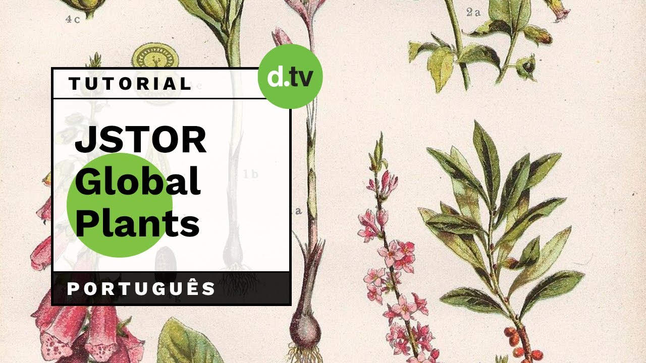 DOTLIB JSTOR Global Plants (Português) Tutorial YouTube