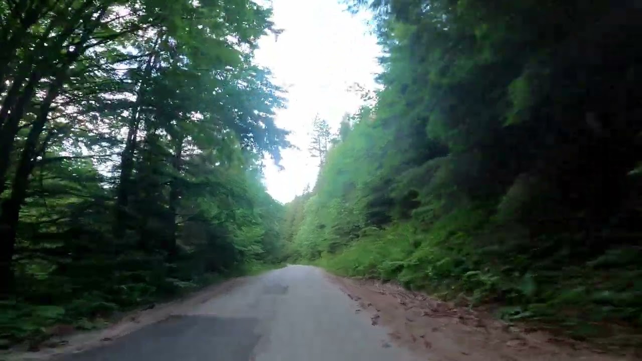 Bike Trasa Čutkovská Dolina - Vtáčnik-Kalvária RK