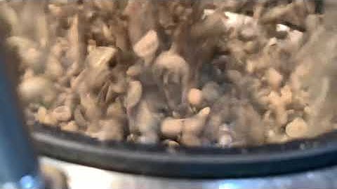 JavaMaster 3002 4K Video