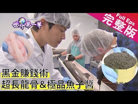 《世界第一等》768集【加拿大】墓地看櫻花/五磅漢堡/鱘龍魚/魚子醬/取龍骨｜完整版