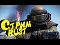Раст с нуля. Соло выживание. Дневной Стрим. #раст #rust