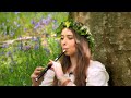 El señor de los anillos - sobre el tema de los hobbits / Leyna Robinson-Stone