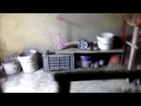 Vlog