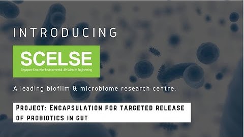 Encapsulation For Targeted Release Of Probiotics In Gut