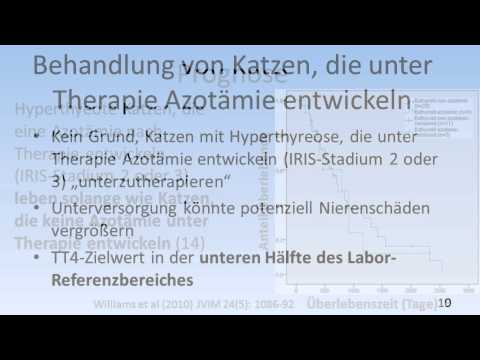 Video: Natürliche Behandlung von Hyperthyreose bei Katzen