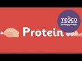 Why do our bodies need protein?