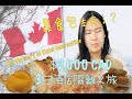 【CHI/ENG SUB】CAD $2000 加拿大 3日 #酒店隔離 的折磨！？｜The Suite Life/Torture of my Hotel Quarantine in Canada