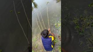 Very amazing fishing by hook #fishing #catfish #fishvideo