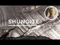 Shungite - The Crystal of Ancestral Healing