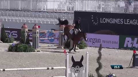 240411 Reference LADY D ex ASHDALE DIVINE