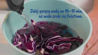 Wskaznik pH z kapusty - eksperyment dla dzieci