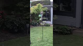 Smart Squirrel Manages to Drop Bird Feeder to the Ground