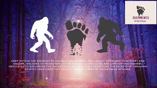 Footprints In The Forest What Lurks In The Forest